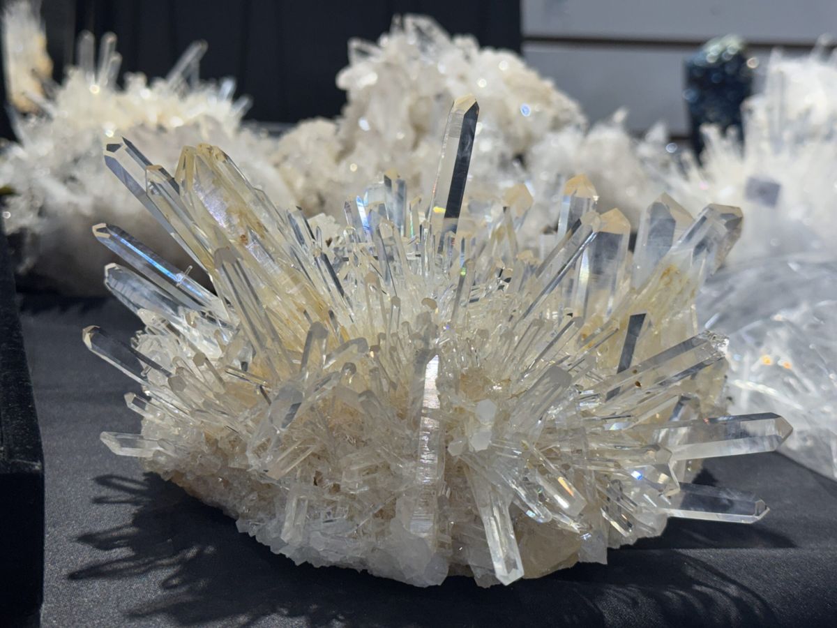 67th Annual Fall Gem, Mineral, and Jewelry Show (Nov 7–8)