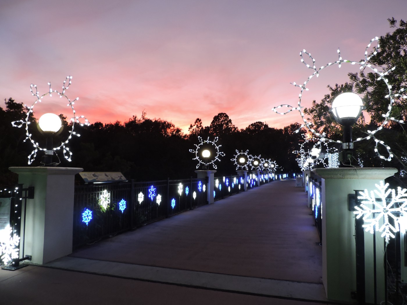 Holiday Lights in the Gardens (run Nov 27–Jan 3)