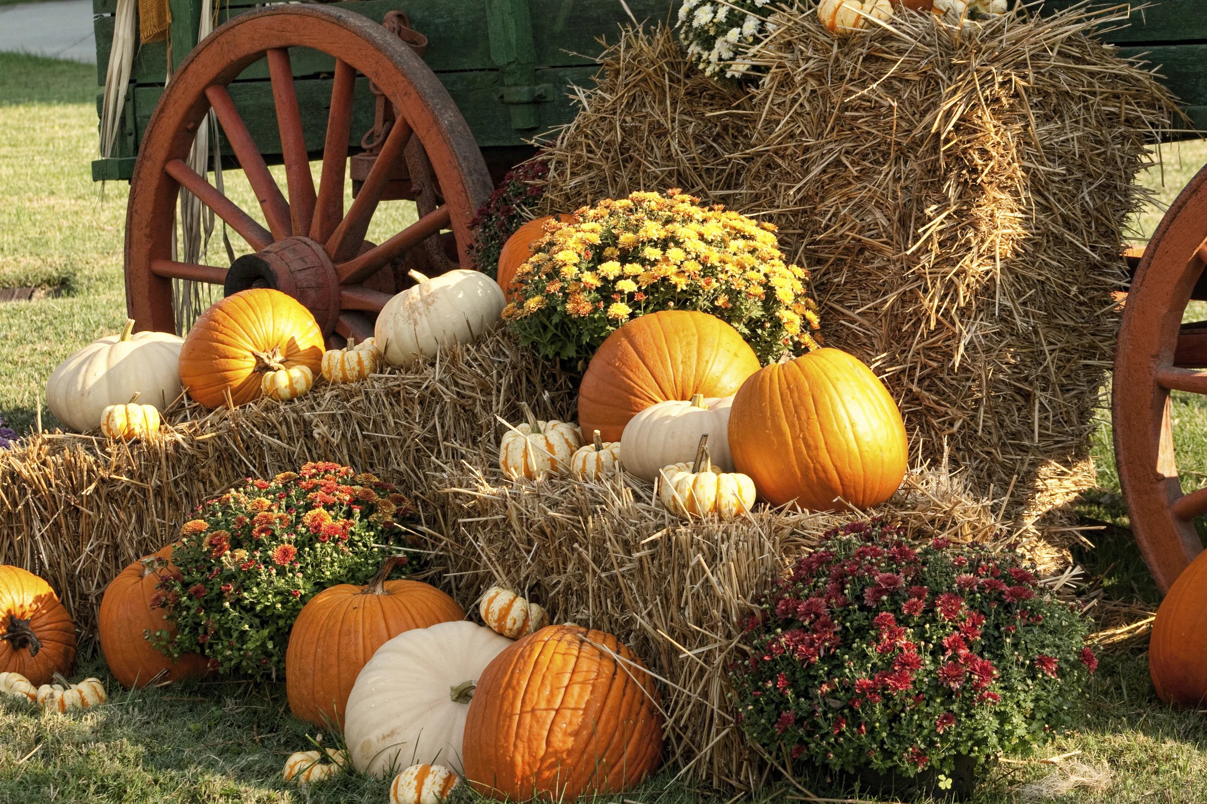 Raprager Farms Fall Festival (run Sep 18–Oct 30)