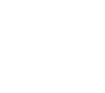 Seminole Hard Rock Tampa logo
